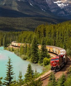 andy-holmes-oEIFOoC3gi0-unsplash